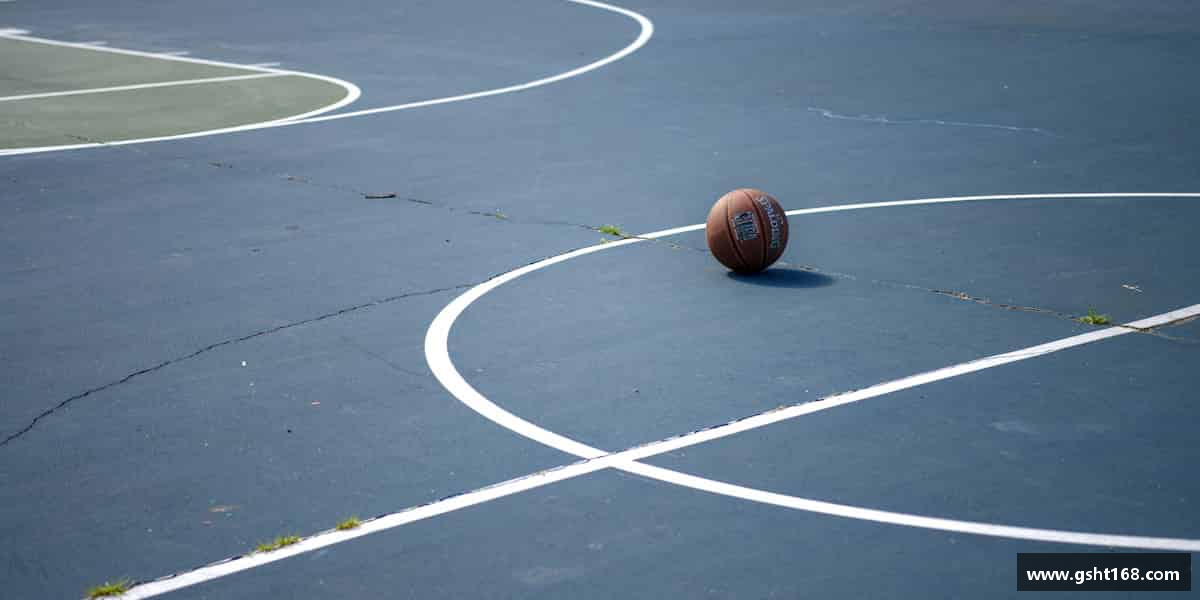 介绍bevictor官网